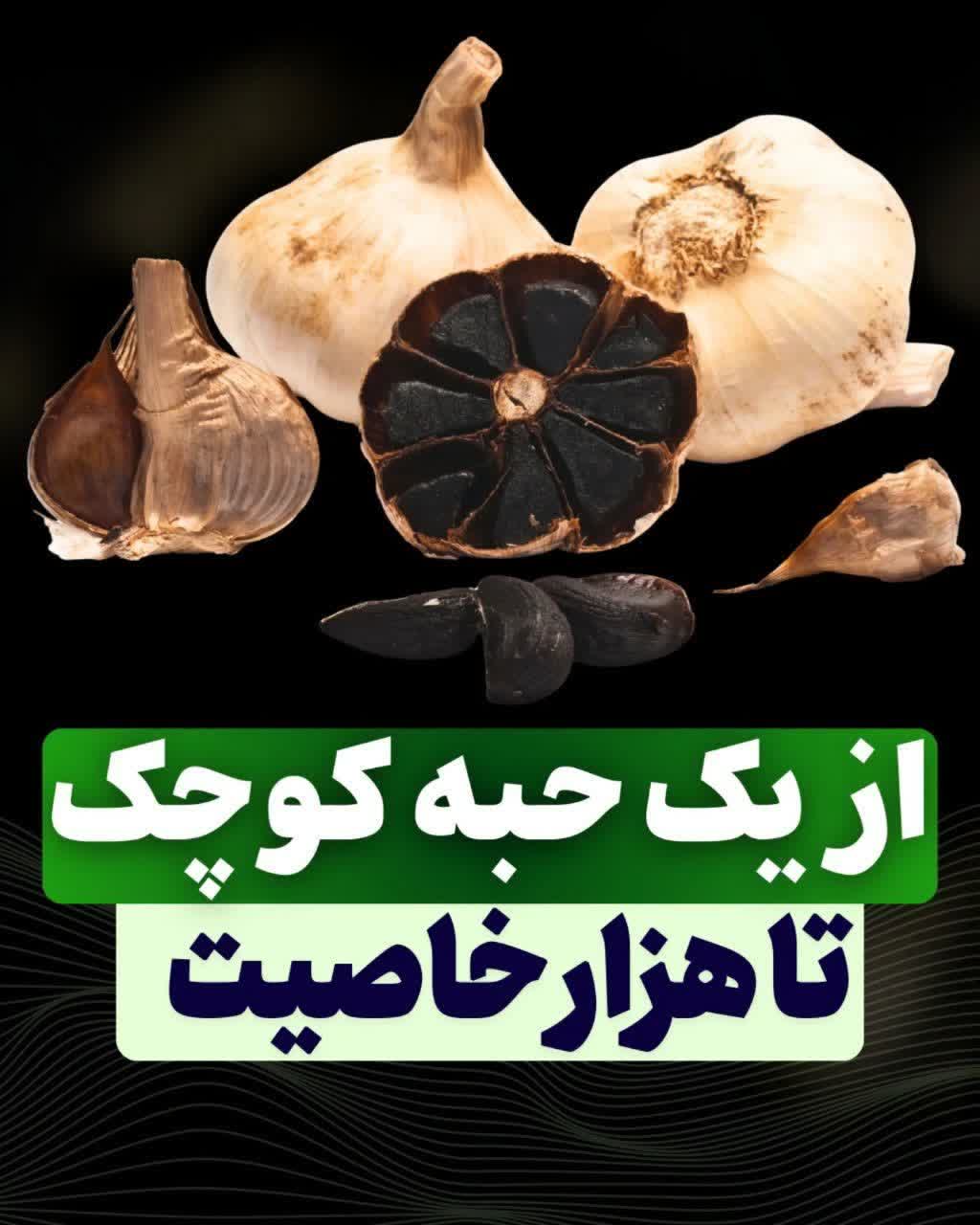 سیرسیاه ژاپنی تخمیری مناسب بیماری جنسی اقایان زودانزالی و عدم نعوظ دارای پنج تاییده بهداشتی